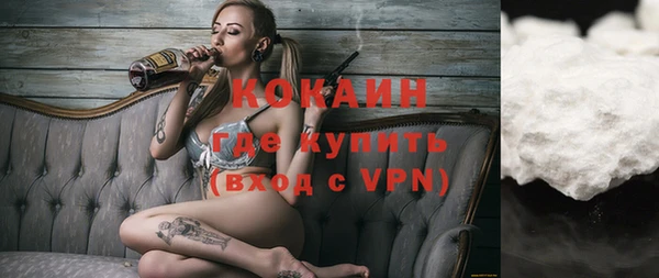 PSILOCYBIN Сясьстрой