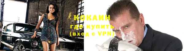 дживик Тайга