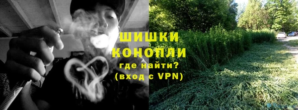 PSILOCYBIN Богородск