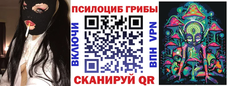 Псилоцибиновые грибы Psilocybine cubensis  купить наркотик  darknet телеграм  Михайловск 