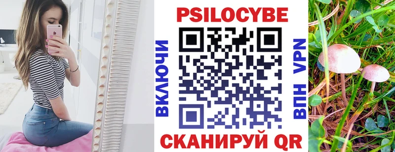 Галлюциногенные грибы ЛСД Михайловск